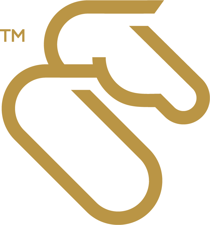 EquineX Horse Logo